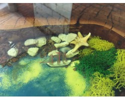 Круглый стол река из эпоксидной смолы-foto10