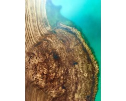 Эпоксидный стол река из слэба бирюзовый-foto2