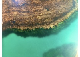 Эпоксидный стол река из слэба бирюзовый-foto4